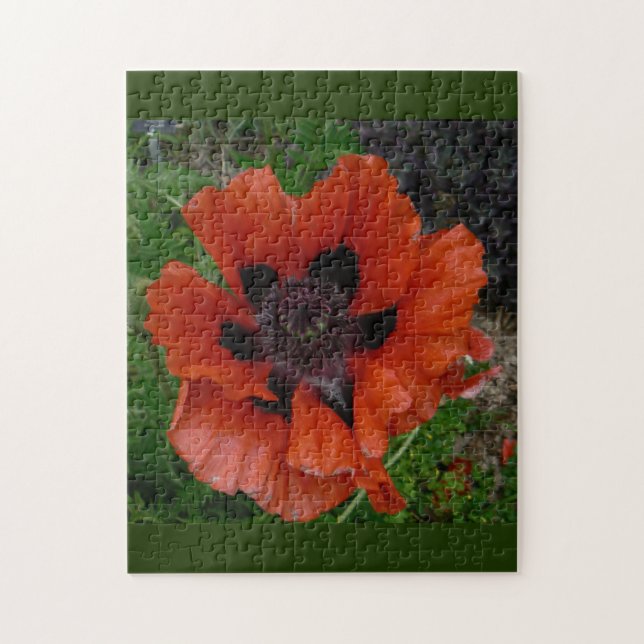 Orientalischer Mohn Puzzle (Vertikal)