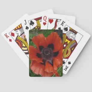 Orientalischer Mohn Spielkarten