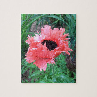 Orientalischer POPPY "Pink Ruffles" — Puzzle