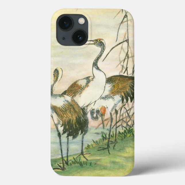 Orientalkrane am Wasser Case-Mate iPhone Hülle (Rückseite)