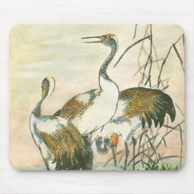 Orientalkrane am Wasser Mousepad (Vorne)