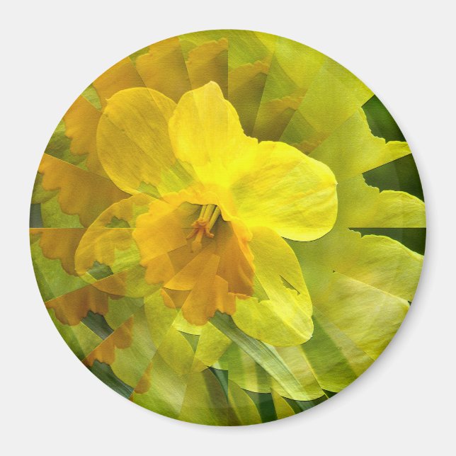 Origami Daffodil....... Magnet (Vorne)