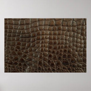 Original braunes Alligatorenleder, nah bis zur Vor Poster
