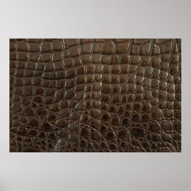 Original braunes Alligatorenleder, nah bis zur Vor Poster (Vorne)