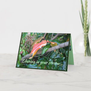 Original British Columbia Foto on Sympathy Card Karte