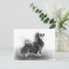 Original Chihuahua-Malerei Postkarte