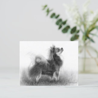 Original Chihuahua-Malerei Postkarte