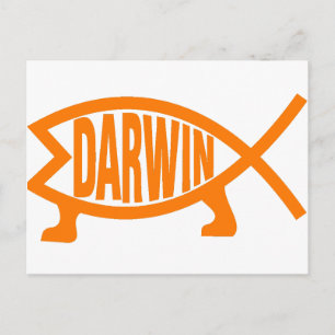 Original Darwin Fisch (Light Orange) Postkarte