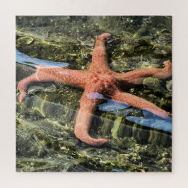 Original Foto von Starfish unter Wasser Puzzle