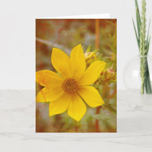 Original Gelbe Blume Karte