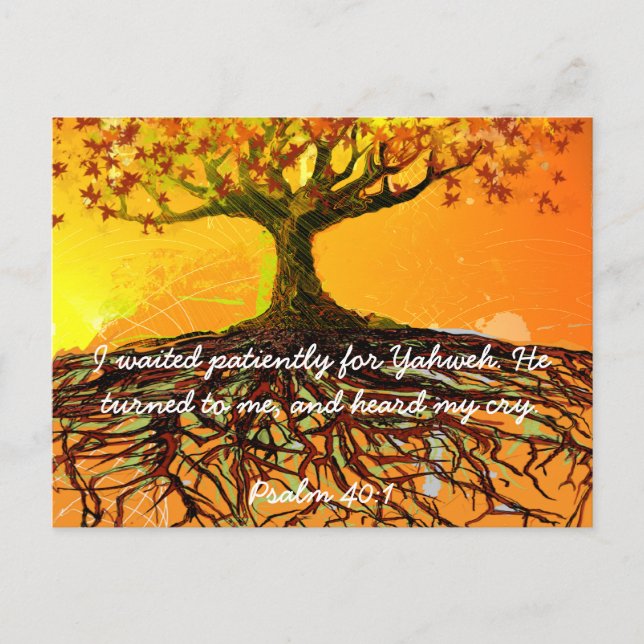 Original Kunst- gepanzert Schönes Elegantes Postkarte (Vorderseite)