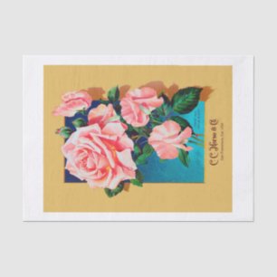 Original (nicht KI) Vintager Saatkatalog Rosa Rose Seidenpapier