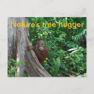 Original Tree Hugger Borneo Natur Postkarte