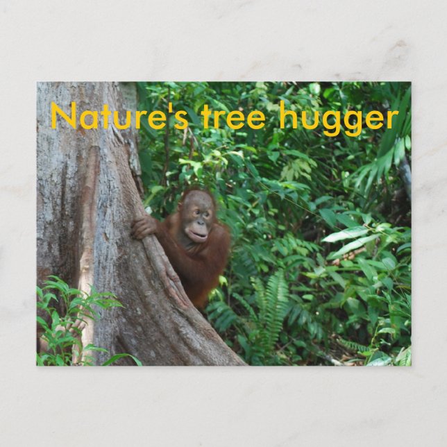 Original Tree Hugger Borneo Natur Postkarte (Vorderseite)