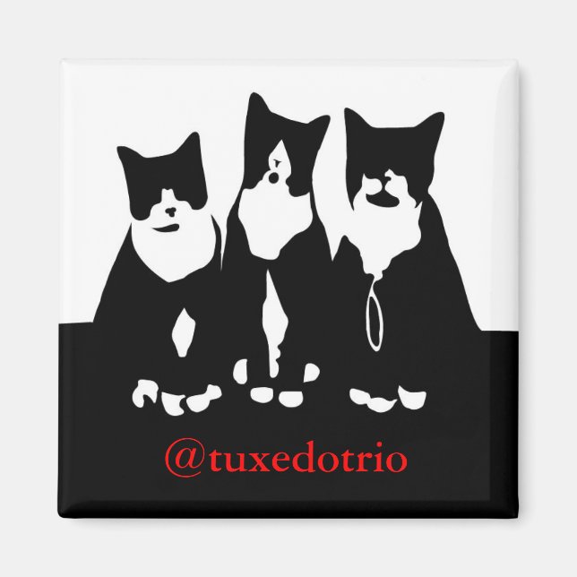 Original TuxedoTrio Magnet (Vorne)