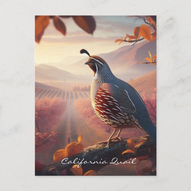 Original Wasserfarbe California Quail. Bird Postkarte (Vorderseite)