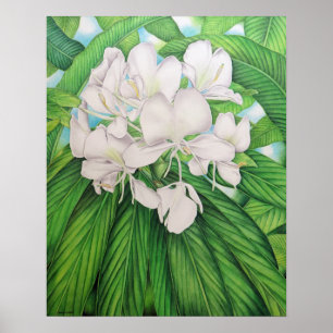 Original Wasserfarbe von Joel W. Carlson of Honolu Poster