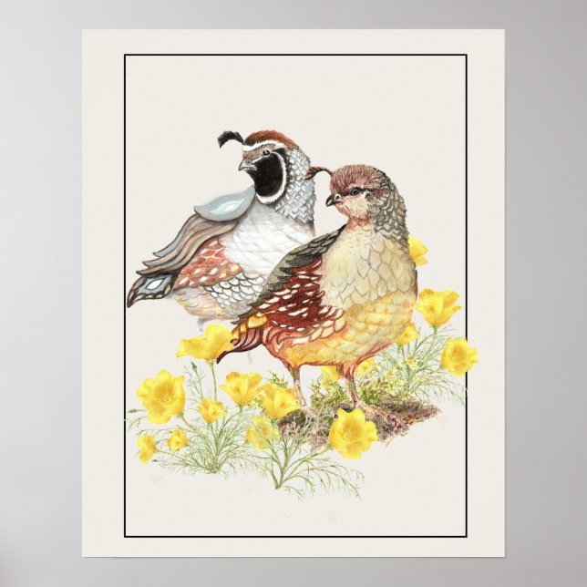 Original Watercolor California Quail Male & Female Poster