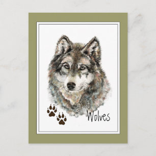 Original Watercolor Grau Wolf - Tracks Animal Postkarte