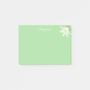 Original White Amaryllis Blume auf Light Green Post-it Klebezettel