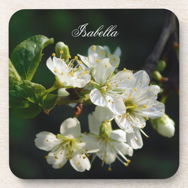 Original White Plum Art Custom Name Coaster Getränkeuntersetzer (Vorderseite)