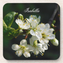 Original White Plum Kunst Namensuntersetzer