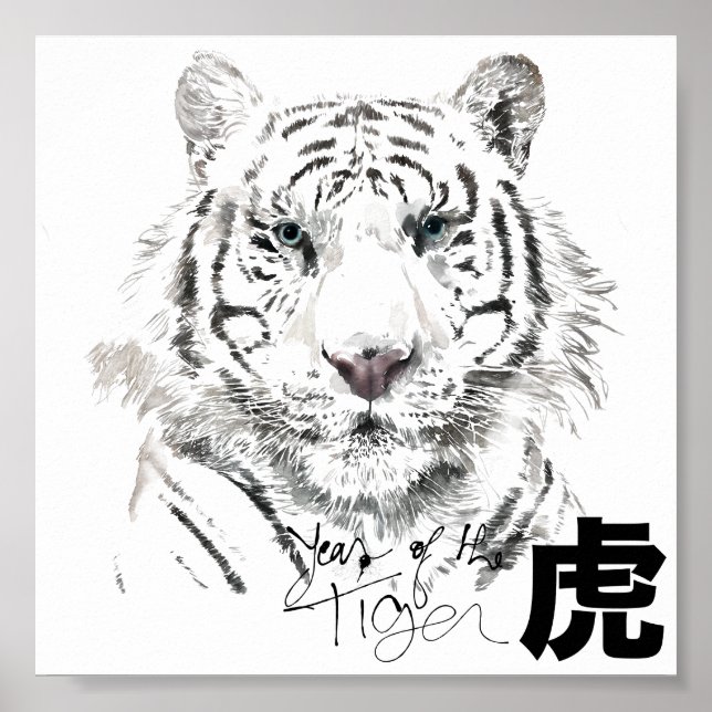 Original White Tiger Wasserfarben Chinesisches Ide Poster (Vorne)