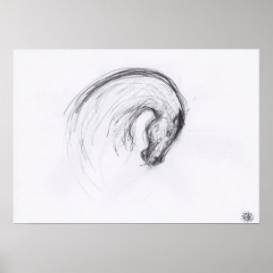 Original Zeichnend 2 Pferdejahr Zodiac Poster