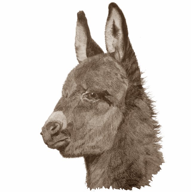 Originalbild des niedlichen Babydonkeys Fotoskulptur Magnet (Vorne)