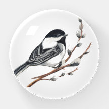 Originale Aquarell-Katzenweide & Meisen-Vogel
