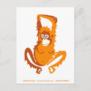 Originalgrafik - ORANGUTAN - gefährdete Arten - Postkarte