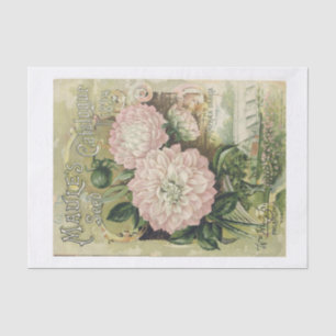 Originalsaatkatalog (nicht KI) für rosafarbene Blu Seidenpapier