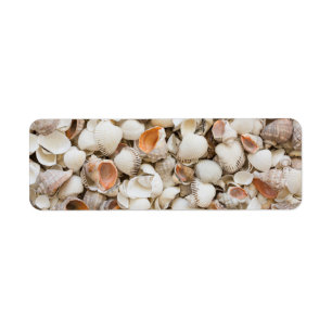 Originelles Naturmuster Seashell Stil Hintergrund