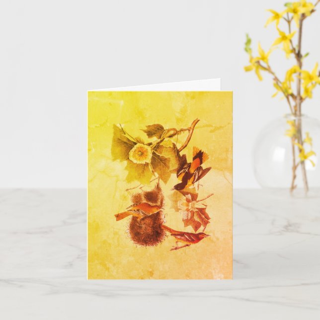 Oriole Audubon Birds Art Note Card Karte (Gelbe Blume)