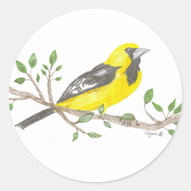 Oriole-Aufkleber Runder Aufkleber (Vorderseite)