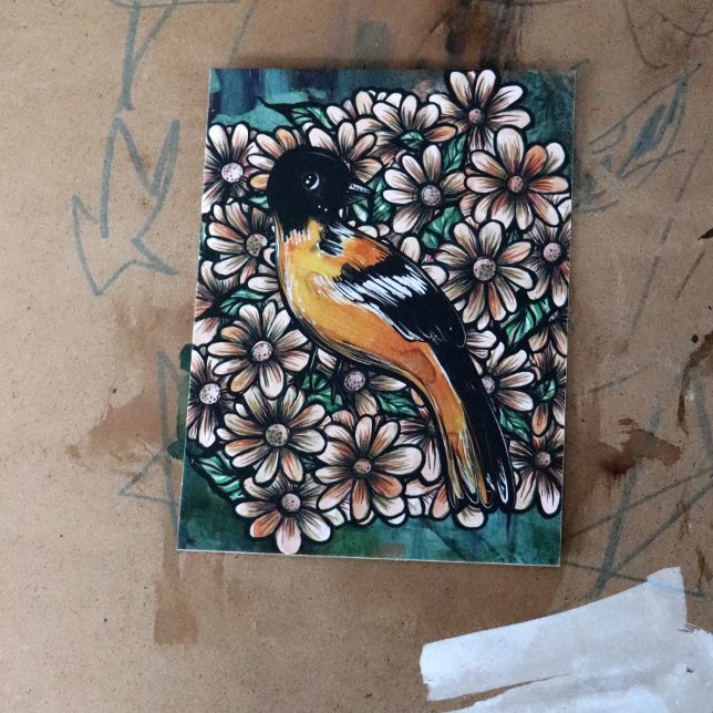 Oriole Bird Art-Designs Postkarte (Von Creator hochgeladen)