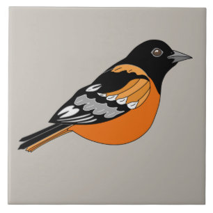 Oriole Black and Orange Bird Graphic Fliese