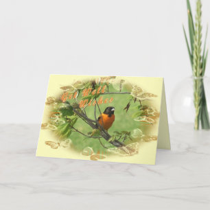 Oriole Get Well-Customizing Karte