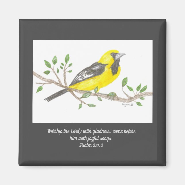 Oriole Magnet (Vorne)