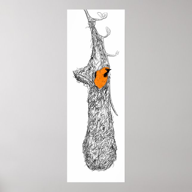 Oriole Nest Poster (Vorne)