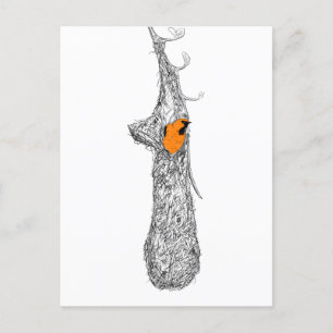 Oriole Nest Postkarte