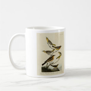Orioles, Thrushes, Audubons Vögel von Amerika Kaffeetasse