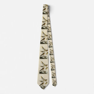 Orioles, Thrushes, von Audubons Vögeln von Amerika Krawatte