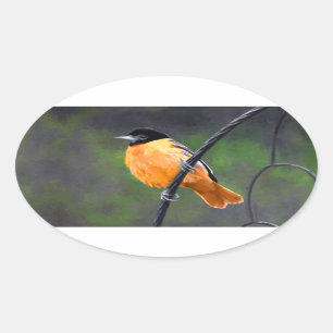 Oriolmalerei - Original Vogelkunst Ovaler Aufkleber