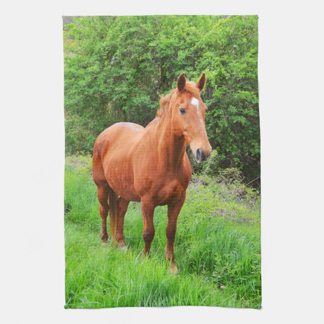 Orion Geschirrtuch (Vertikal)