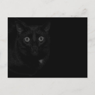 Orion Meine Katze BlackOut Postkarte