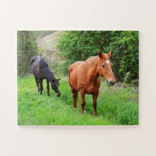 Orion und North Star Puzzle