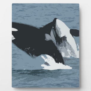 Orka Wal Fotoplatte