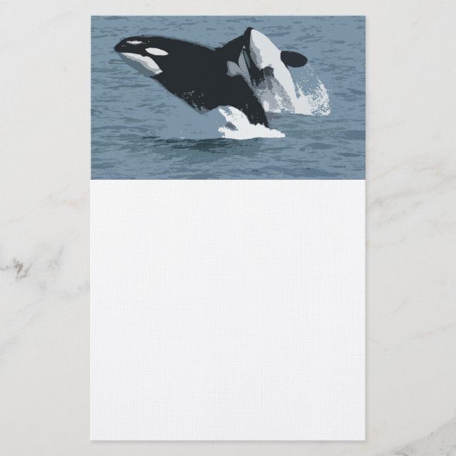 Orka Whale Briefpapier (Vorderseite)
