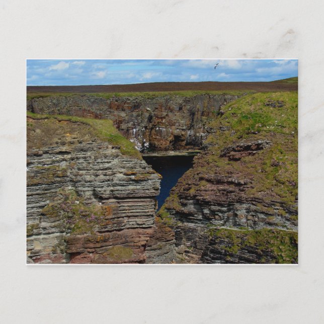 Orkney Cliffs Postkarte (Vorderseite)